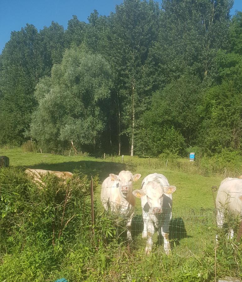 maison au bord de l'ancre Villa Authuille Eksteriør bilde